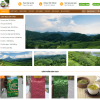 Theme wordpress bán trà xanh 3