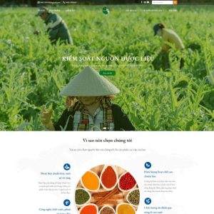 Theme wordpress công ty dược liệu dược phẩm