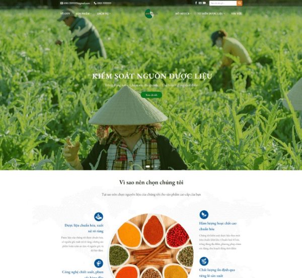Theme wordpress công ty dược liệu dược phẩm