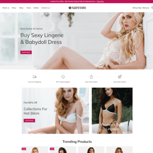 Theme wordpress shop thời trang áo lót sexy