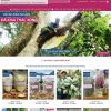 Theme WordPress bán đặc sản (Hoa Ban Food)