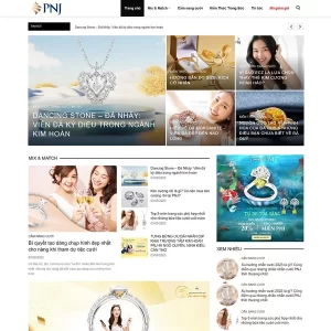 Theme WordPress tin tức 25